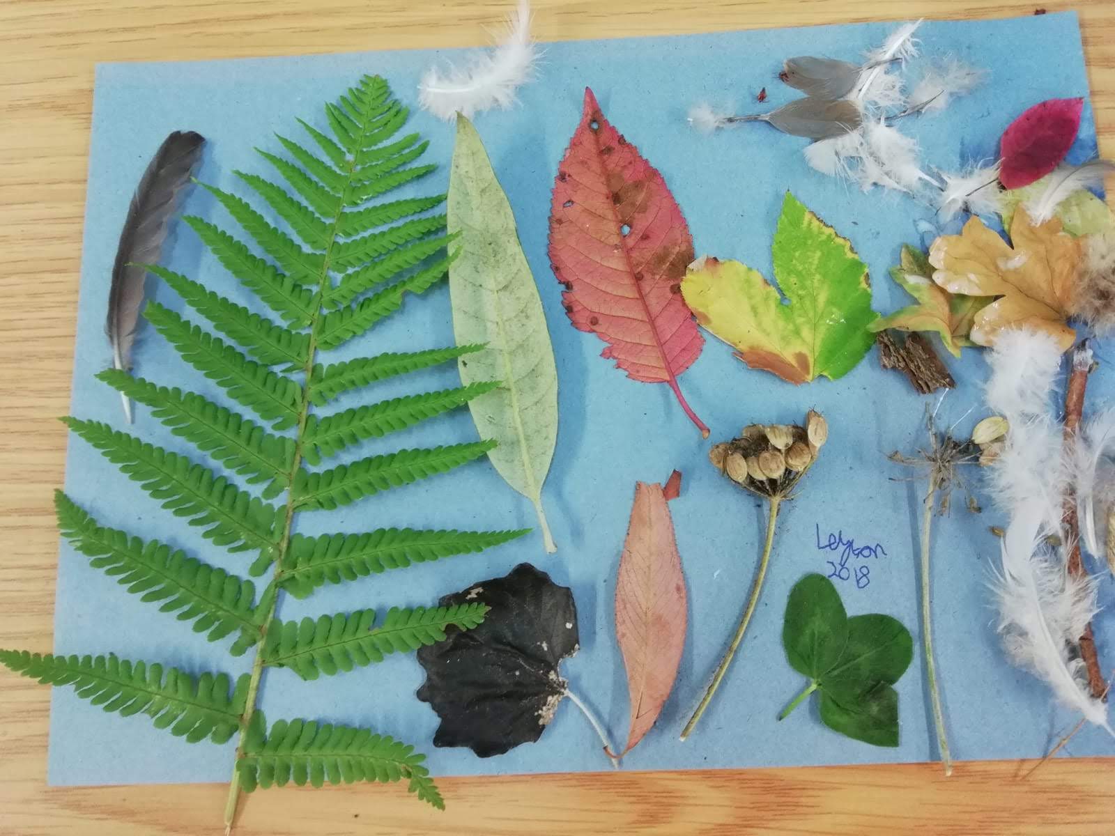 Leaf Collage