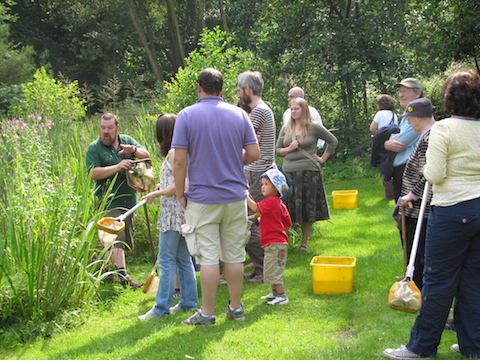 Pond dipping